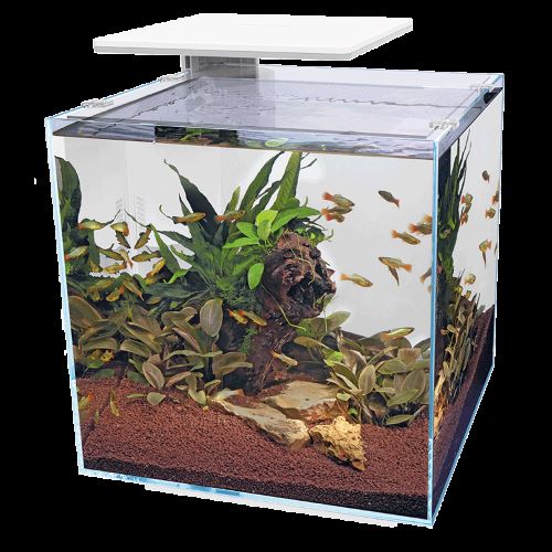 QubiQ 60L Pro Aquarium