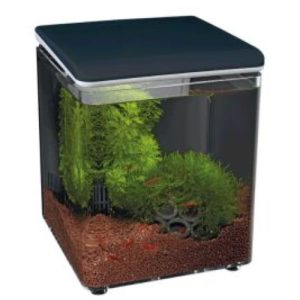Superfish Home 8L Mini Aquarium