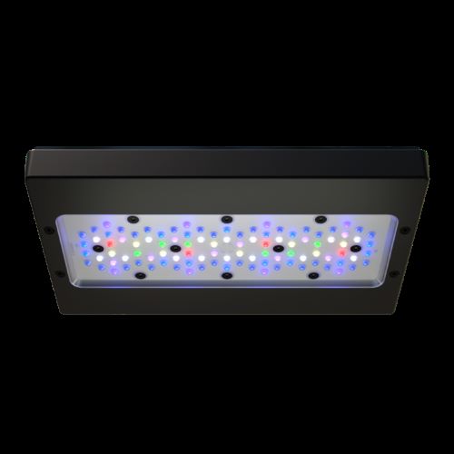 Radion G6 XR30 PRO