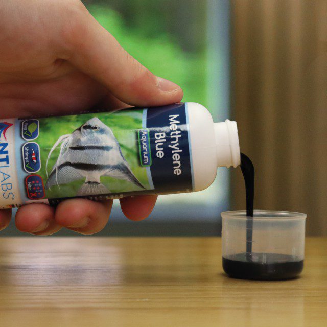 Methylene Blue 1 aquarium fish medication treatment