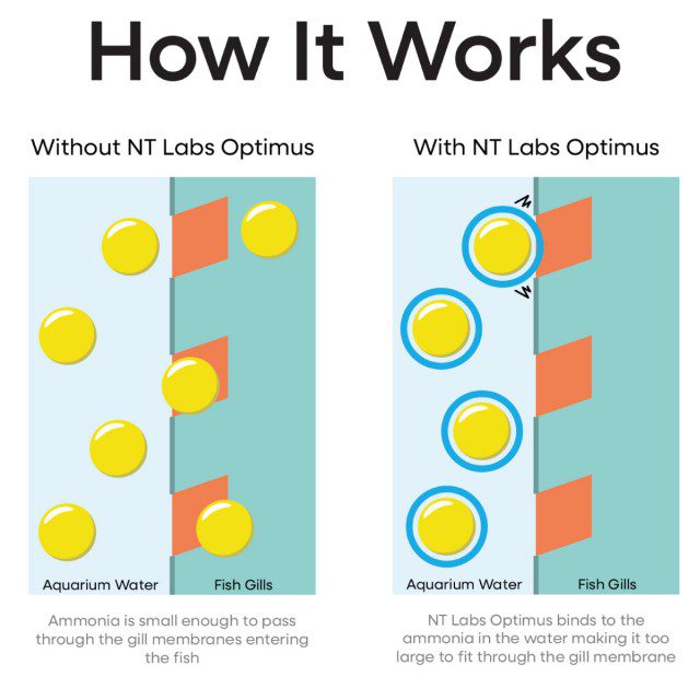 NT Labs Optimus 3