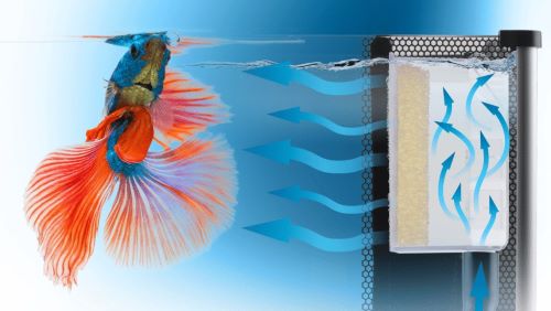 Fluval 20 Litre Betta Aquarium Kit 3