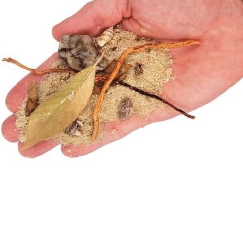 WIO Rivulet Riverbed Decorative Substrate 2Kg
