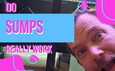 How Do Sumps Work?