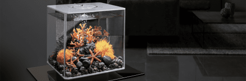 biOrb Aquariums
