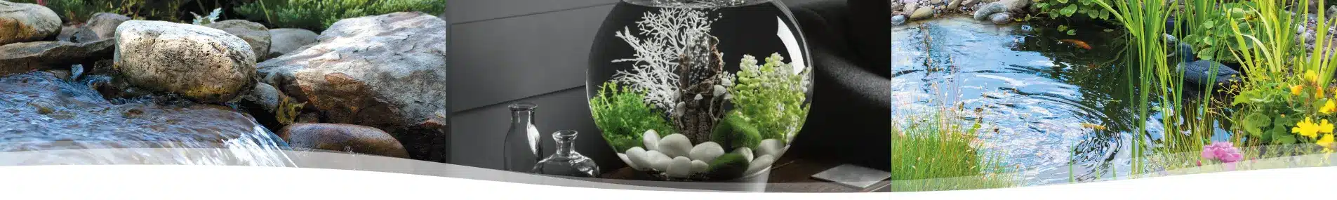 garden ponds fish bowl
