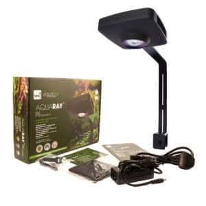 Aquaray P6 Freshwater Connect Lights