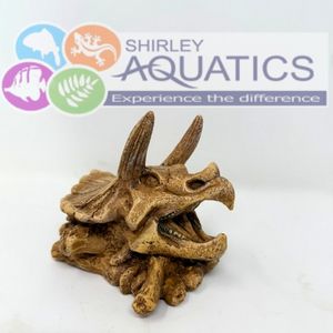 Triceratops Dinosaur Skull Aquarium Ornament