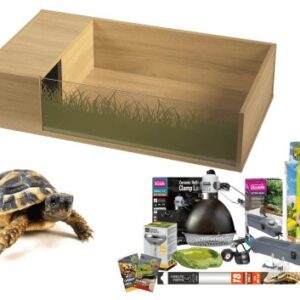 Complete Tortoise Table Setup - Hermann's Tortoise - Complete Table Setup