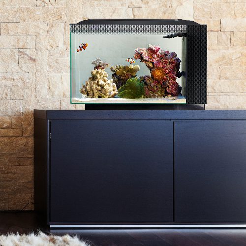 Fluval Evo Nano Marine Aquarium Kit - Image 4