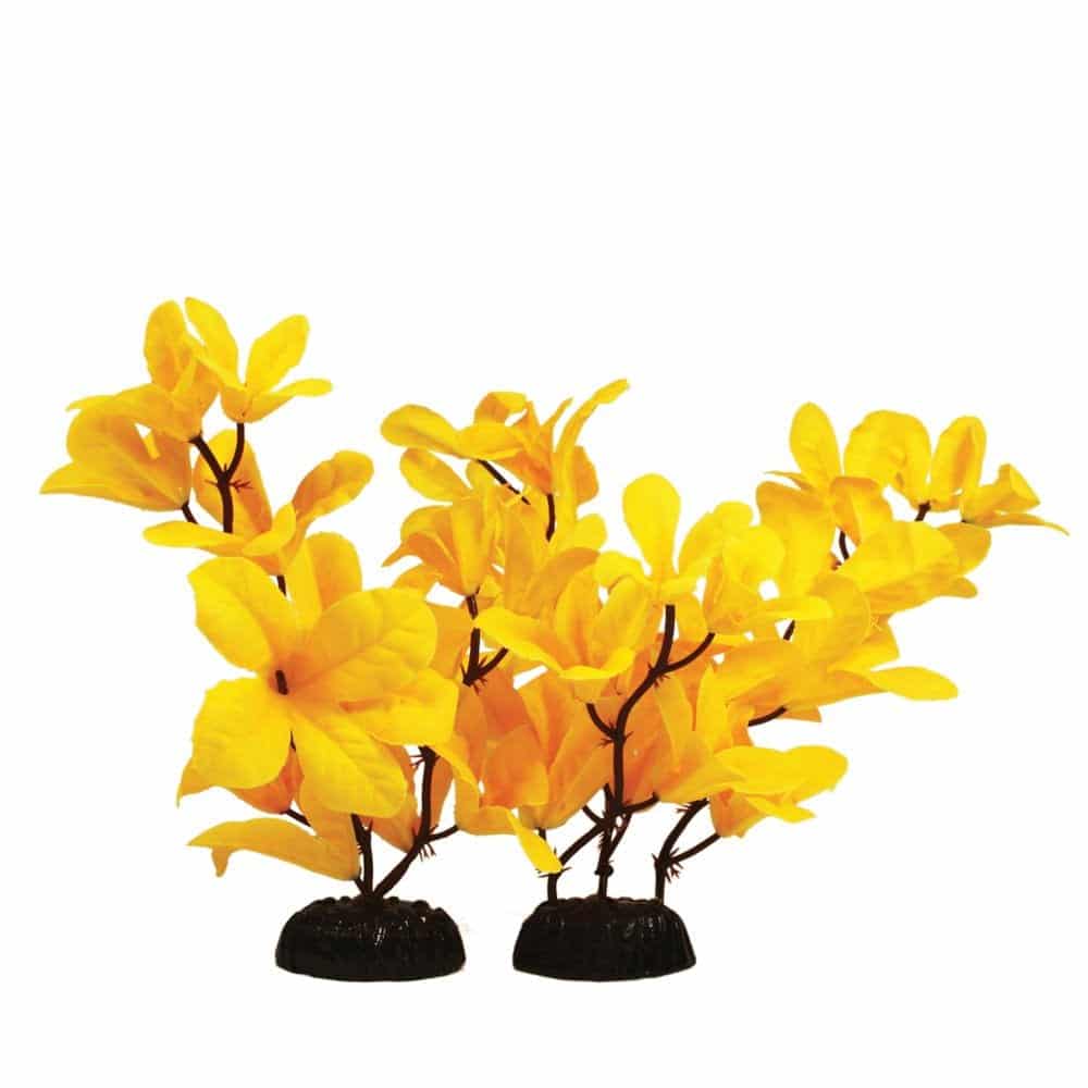 Yellow Rotala Silk Plant