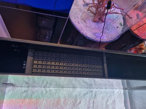 Yubu Aquarium and Cabinet Set - Image 2