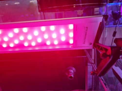 Yubu Aquarium and Cabinet Set - Image 7