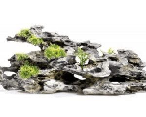 Driftwood with Plants 490mm