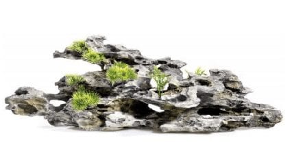 Driftwood with Plants 490mm