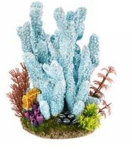 Blue Coral