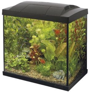 40L Tropical Aquarium Kit