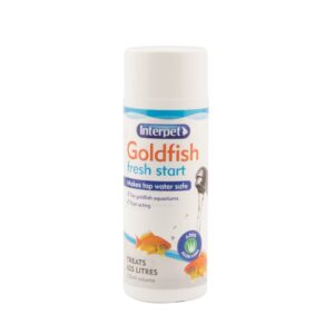 Goldfish Fresh Start
