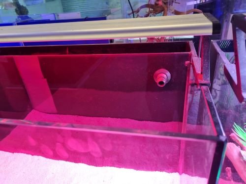 Yubu Aquarium and Cabinet Set - Image 8