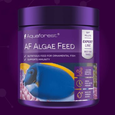 AquaForest Algae Feed 120g