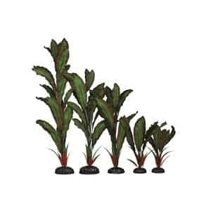 Green / Red Silk Plant