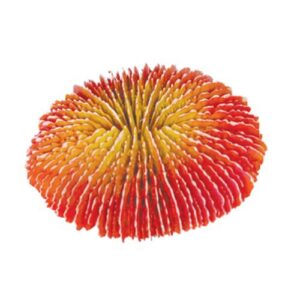 Red Funghi Coral Ornament
