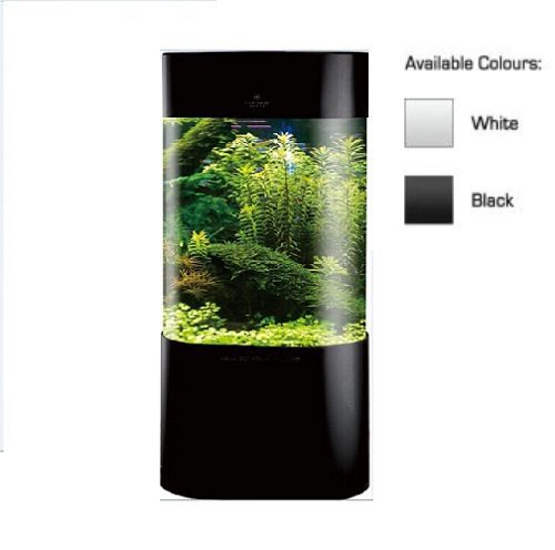 Avon Oval Acrylic Aquarium Set