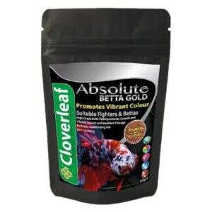 Absolute Betta Gold Slow Sinking Pellets 60g