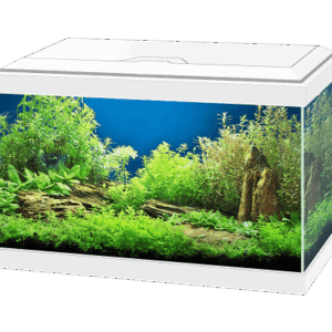 Ciano Aqua LED Aquarium - Aqua 20, White
