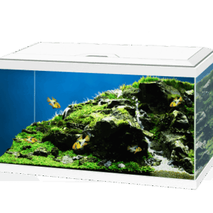 Ciano Aqua LED Aquarium - Aqua 60, White