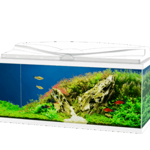 Ciano Aqua LED Aquarium - Aqua 80, White