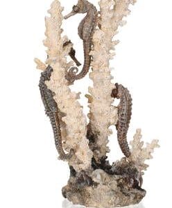 biOrb Seahorses on Coral Natural Medium