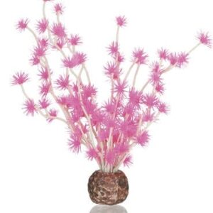 biOrb Bonsai Ball Pink