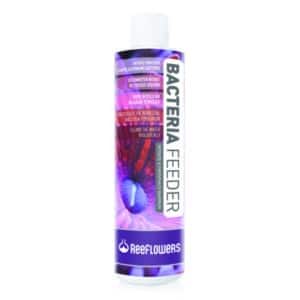 ReeFlowers Bacteria Feeder