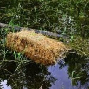 Blagdon Barley Straw Pond Bale