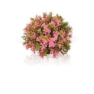 BiOrb Topiary Ball Decoration Pink