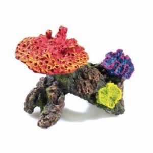 Small Mushroom Coral Ornament