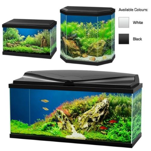 Ciano Aqua LED Aquarium