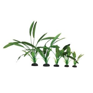 Cryptocorne Green Aquarium Silk Plant
