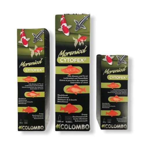 Colombo Cytofex Anti Bacterial Infections