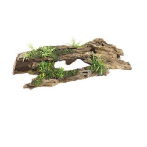 Driftwood with Plants 370mm