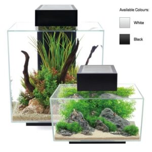 Fluval Edge 2.0 Aquarium Kit