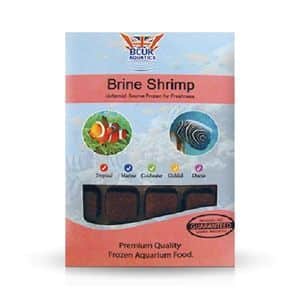 Frozen Brineshrimp pack 100g Fish Food
