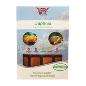 Frozen Daphnia pack 100g