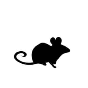 PLT Frozen Mice - Pinkies to Extra Large