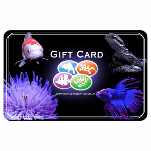 Shirley Aquatics Gift Card