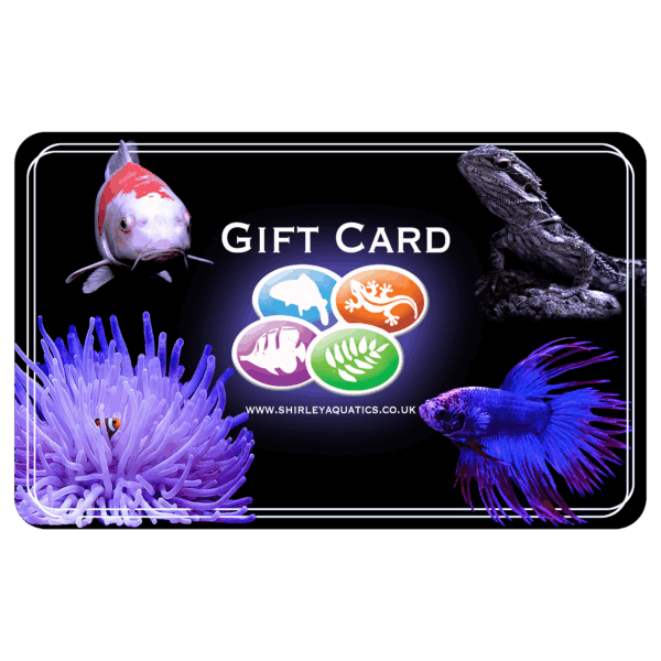 Shirley Aquatics Online Gift Card