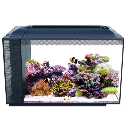 Fluval Evo Nano Marine Aquarium Kit
