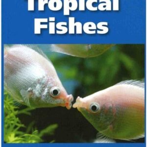 The 101 Best Tropical Fishes