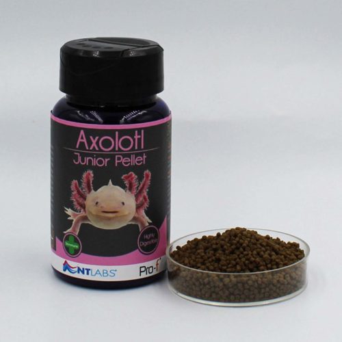 NT Labs Pro-F Axolotl Pellets - Image 4